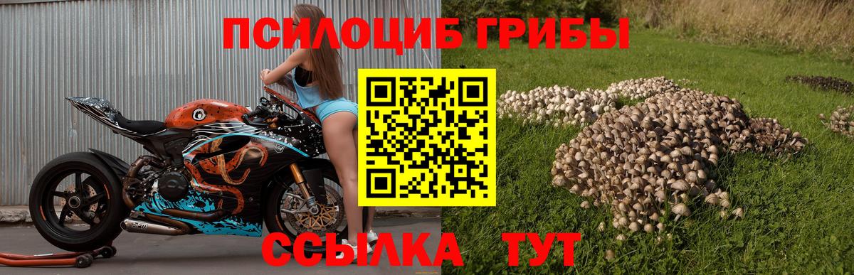 Псилоцибиновые грибы мухоморы Тайшет